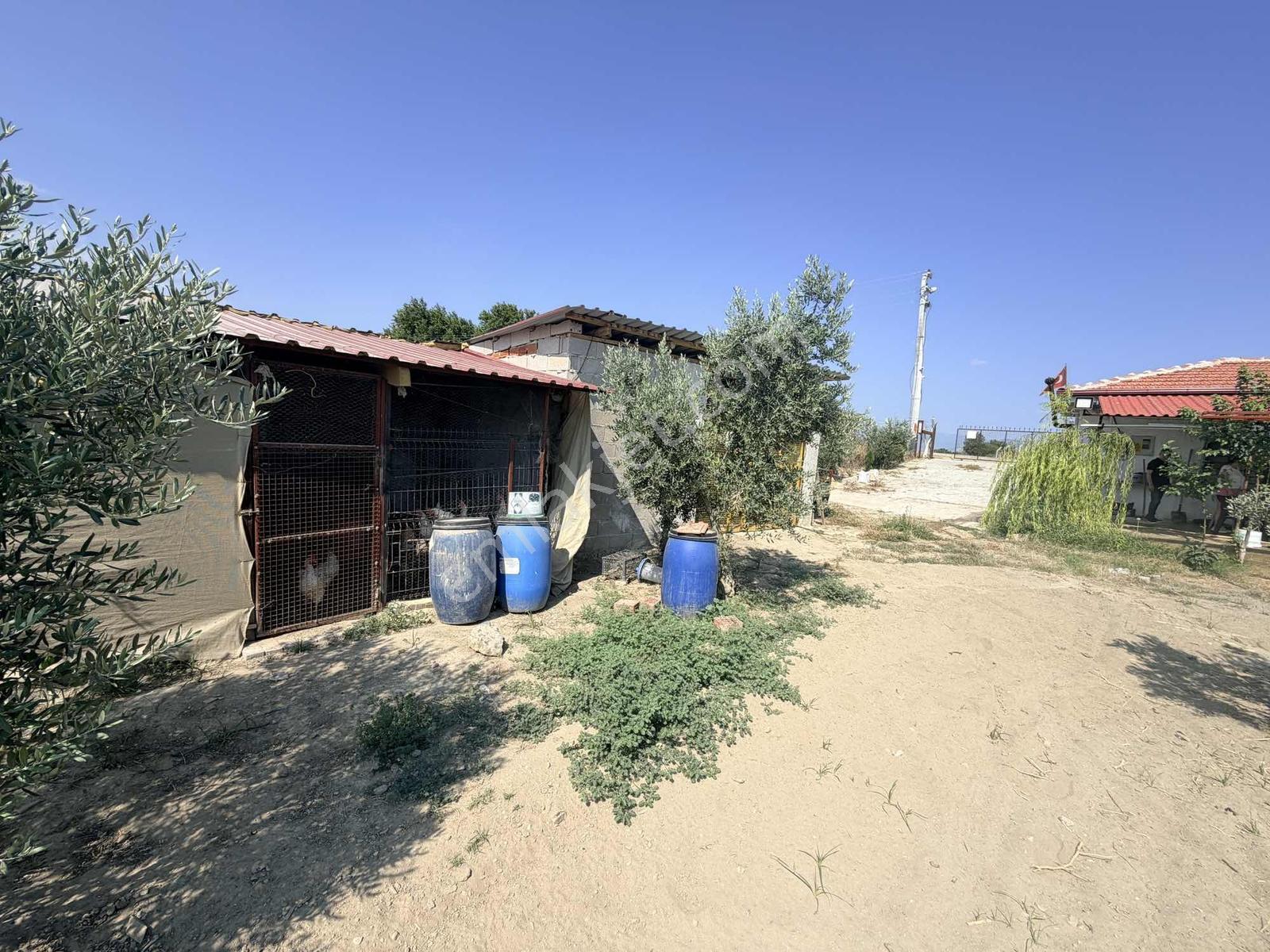 Sığma'da Elektriği Suyu Evü Olan Köşe Anayol Üstü Meyve Bahçemiz - Görsel 19