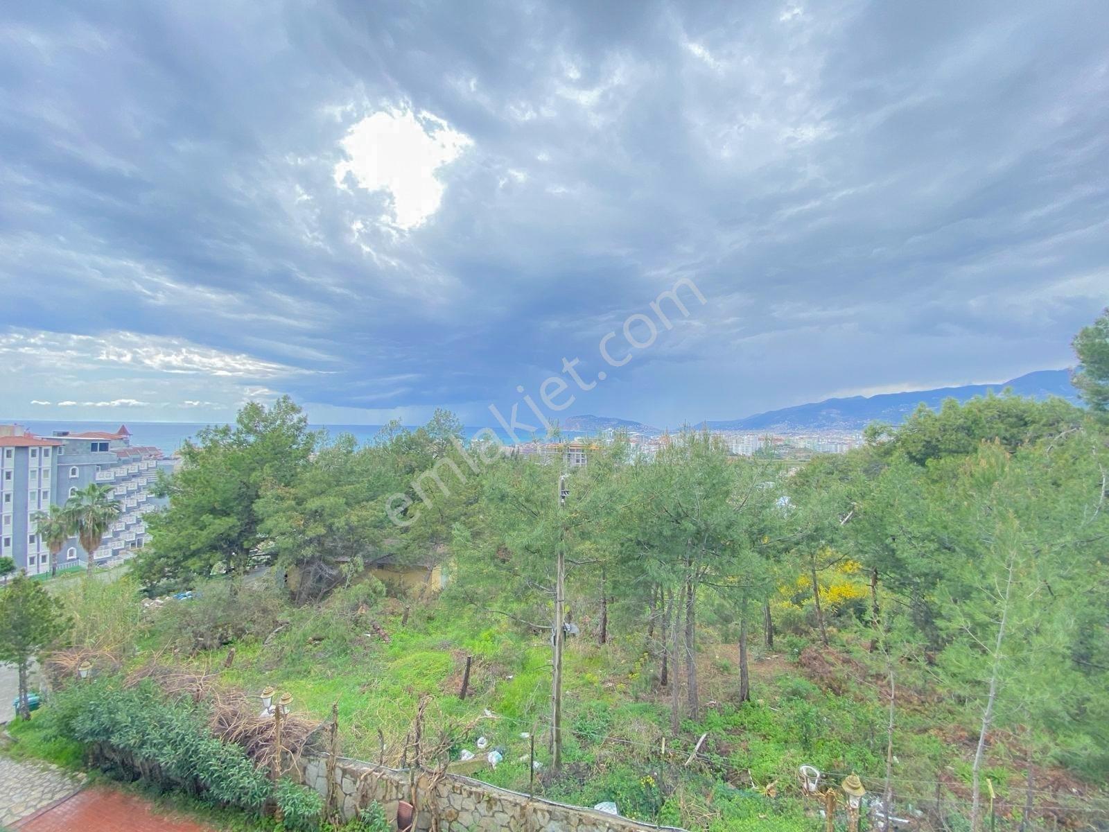 Alanya Kestelde Kiralık Site İçerisinde Havuzlu 1+1 Eşyalı Daire - Görsel 5