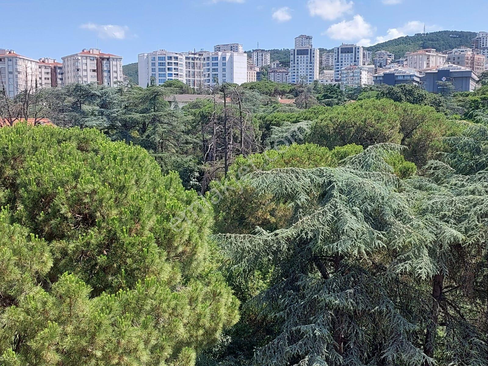 Mertcan'dan Alt Çarşıda Arakat 3+1 Çift Balkonlu Fırsat Kiralık Daire - Görsel 28