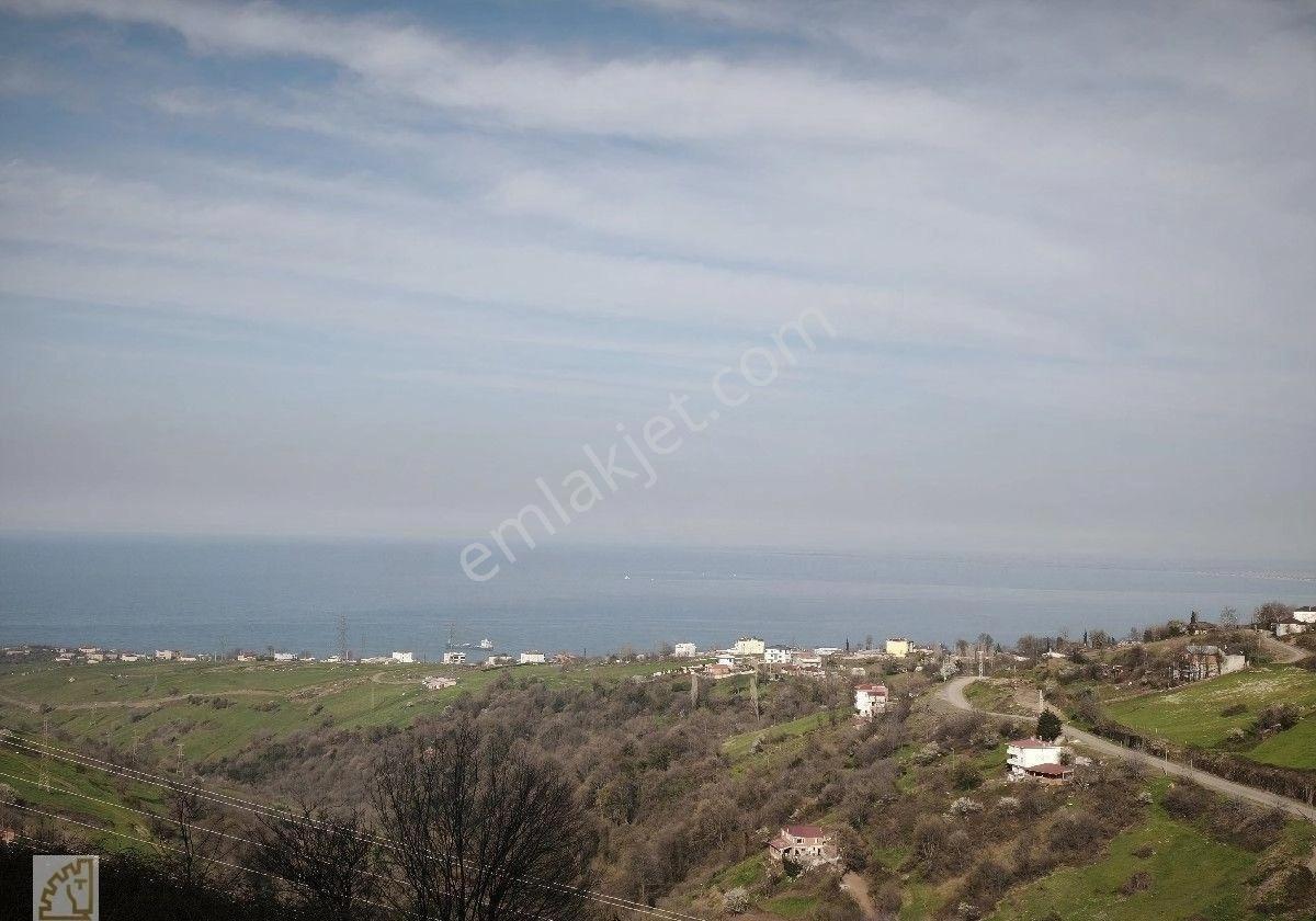 Truva Yağız'dan Hasköy'de Deniz Ve Doğa Manzaralı İskanlı Sıfır Daire - Görsel 10