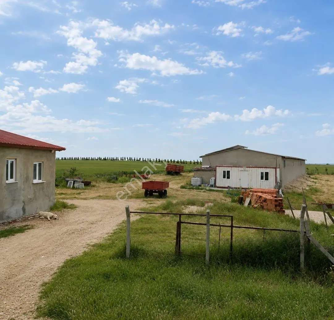 Tekirdağ Saray Kurtdere'de Ruhsatlı Çiftlik 28.114 M2 Yatırım Fırsatı - Görsel 3