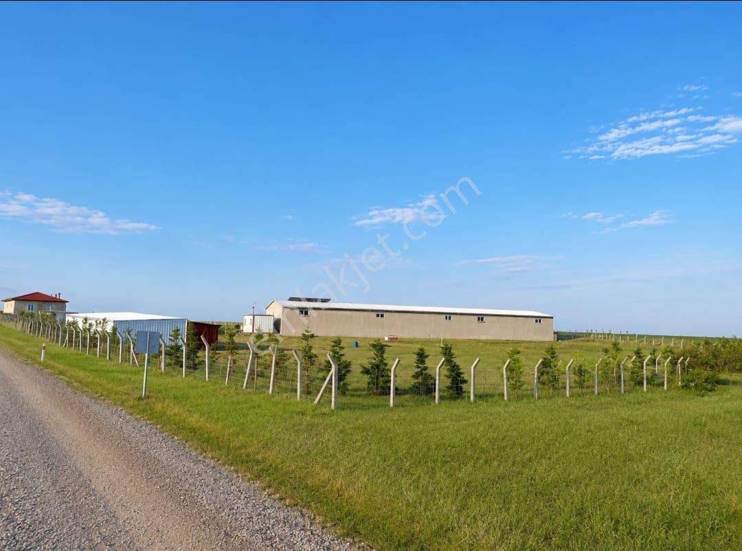 Tekirdağ Saray Kurtdere'de Ruhsatlı Çiftlik 28.114 M2 Yatırım Fırsatı - Görsel 12