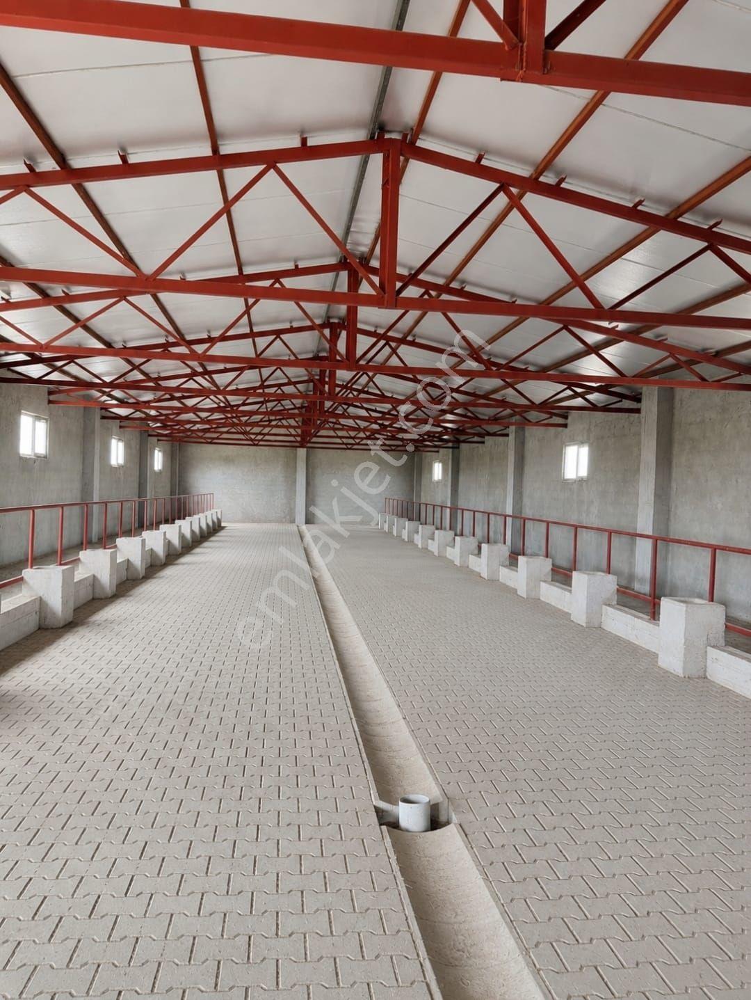 Tekirdağ Saray Kurtdere'de Ruhsatlı Çiftlik 28.114 M2 Yatırım Fırsatı - Görsel 7