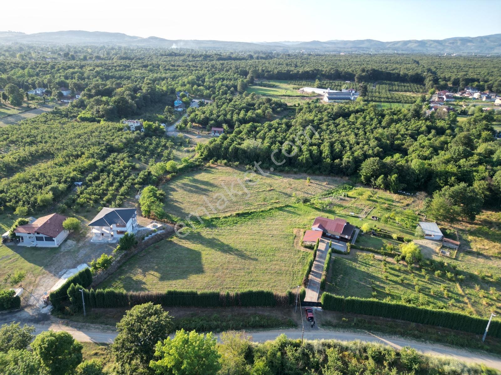 Dündar'dan Hendek Hamitli Mh Yol Cepheli Düz İmarlı Arsa - Görsel 12