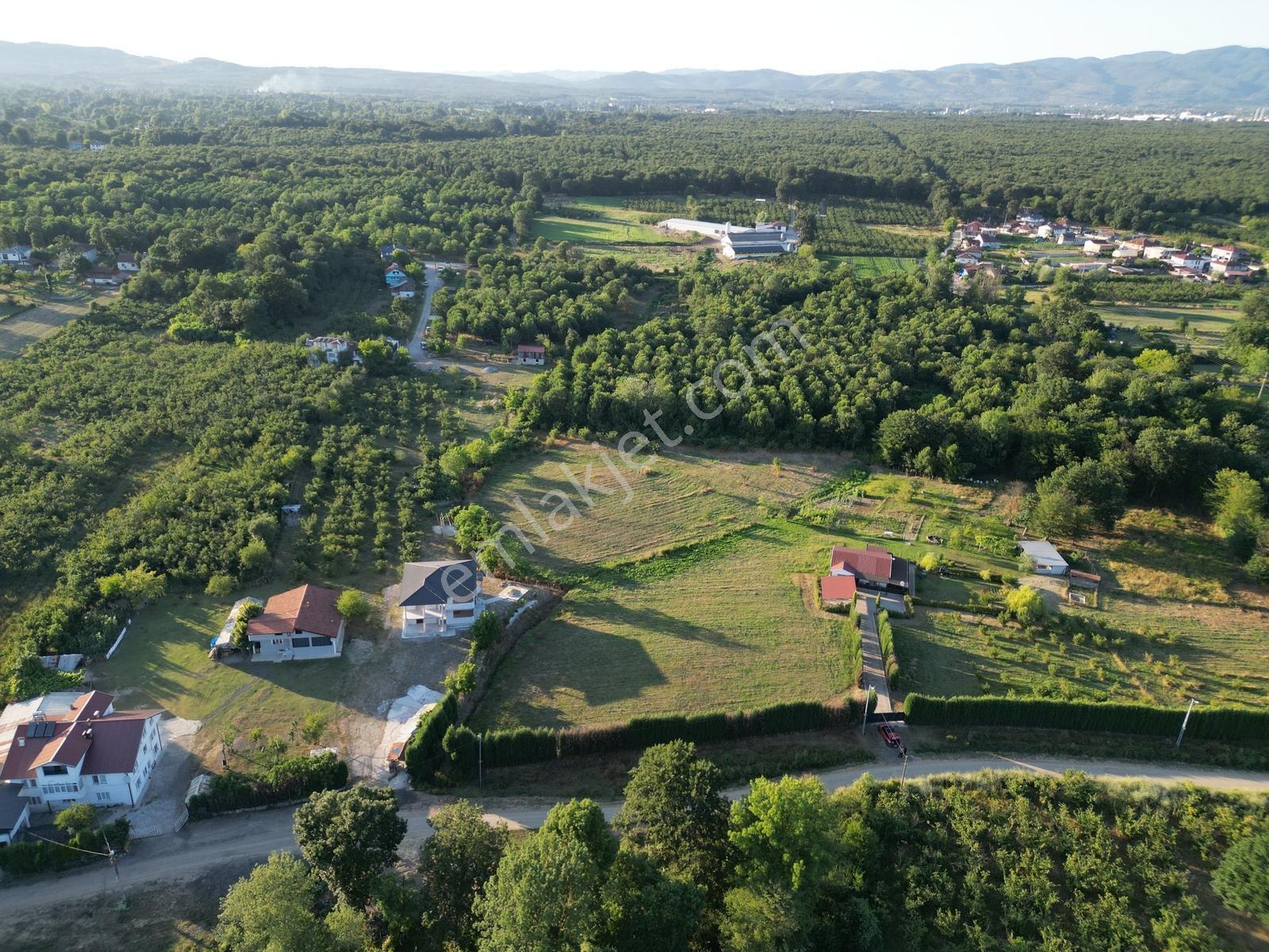 Dündar'dan Hendek Hamitli Mh Yol Cepheli Düz İmarlı Arsa - Görsel 6