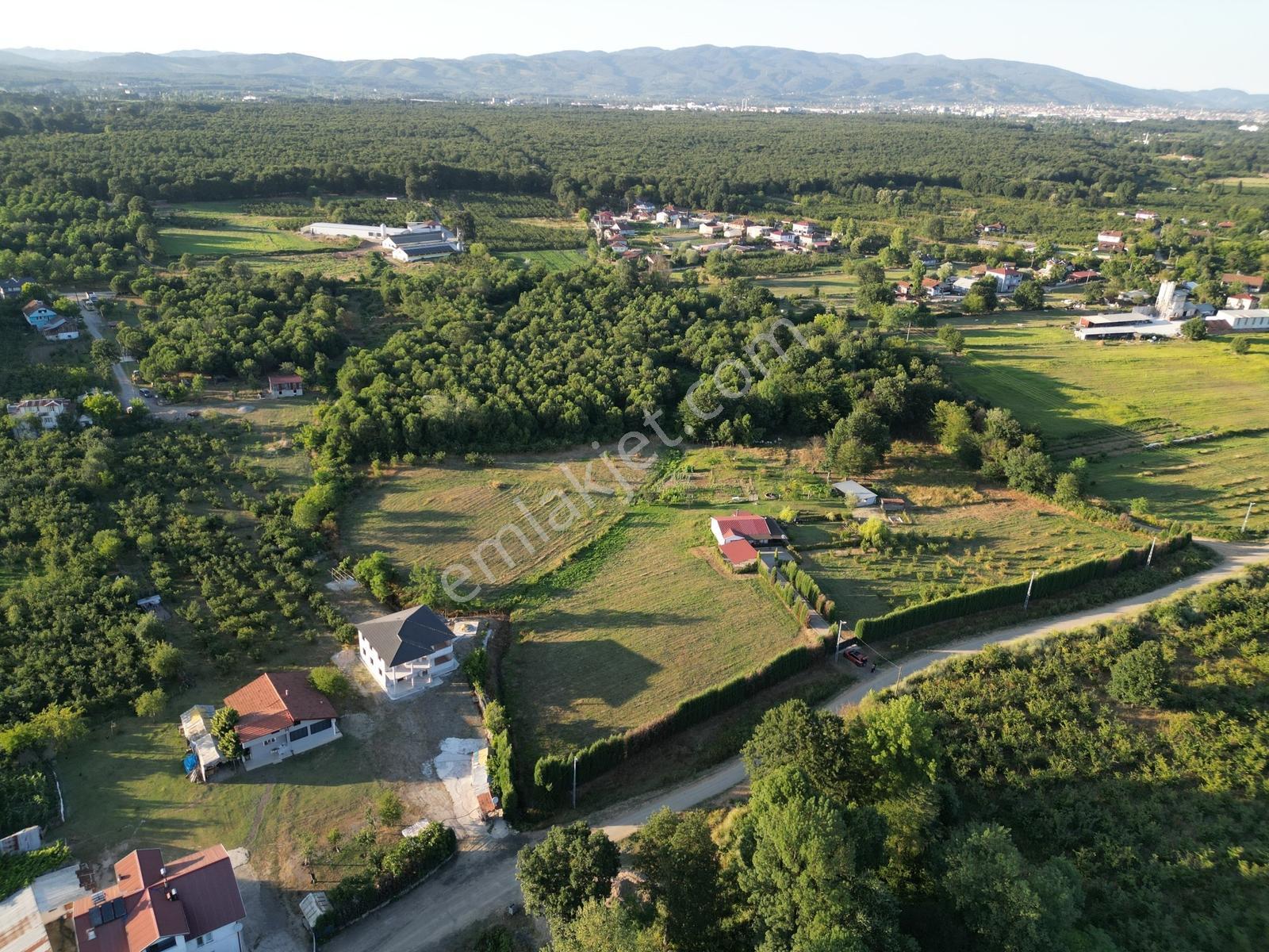 Dündar'dan Hendek Hamitli Mh Yol Cepheli Düz İmarlı Arsa - Görsel 16