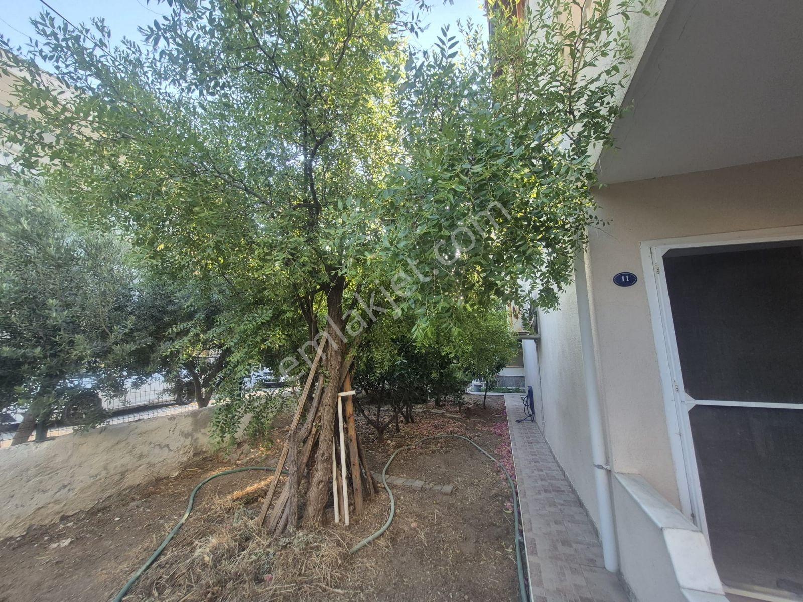 Dikili Çandarlı Satılık Tripleks Villa - Görsel 12