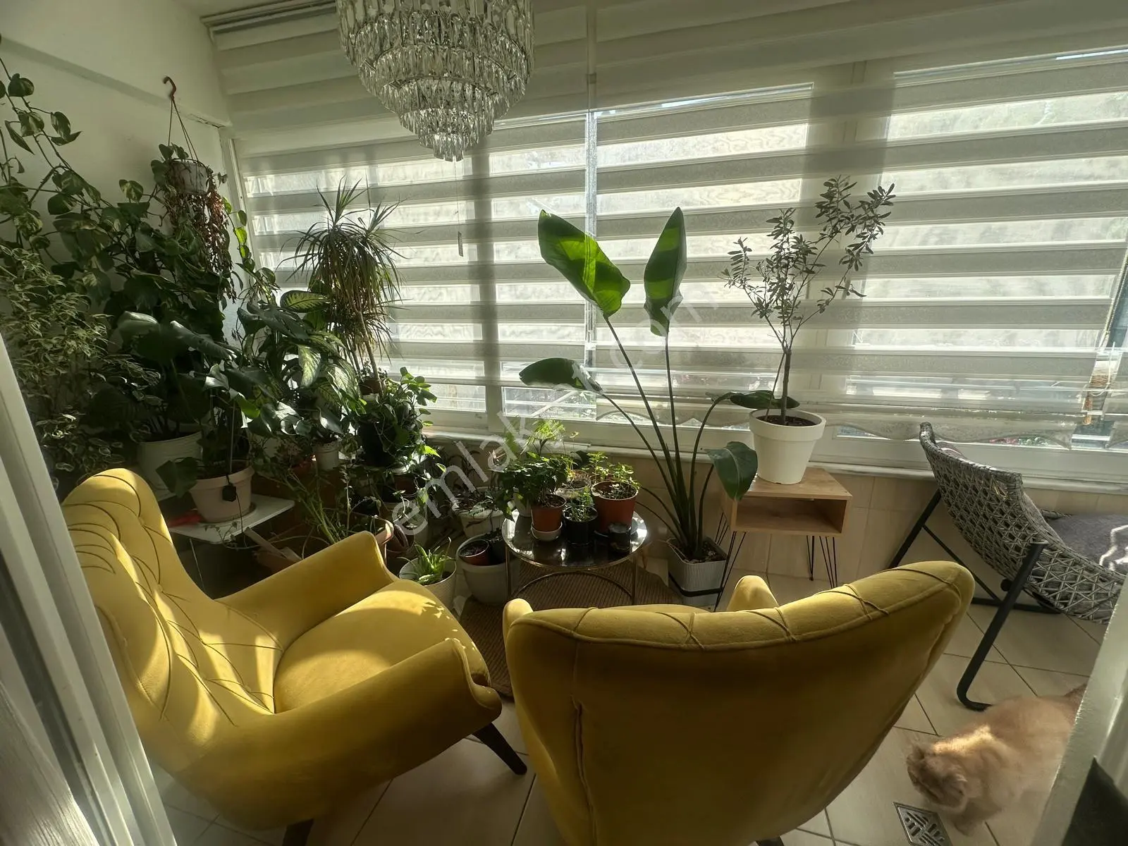 Alanya Güllerpınarı Mah.denize 300 Mt.eşyalı Kiralık 3+1 Daire - Görsel 7