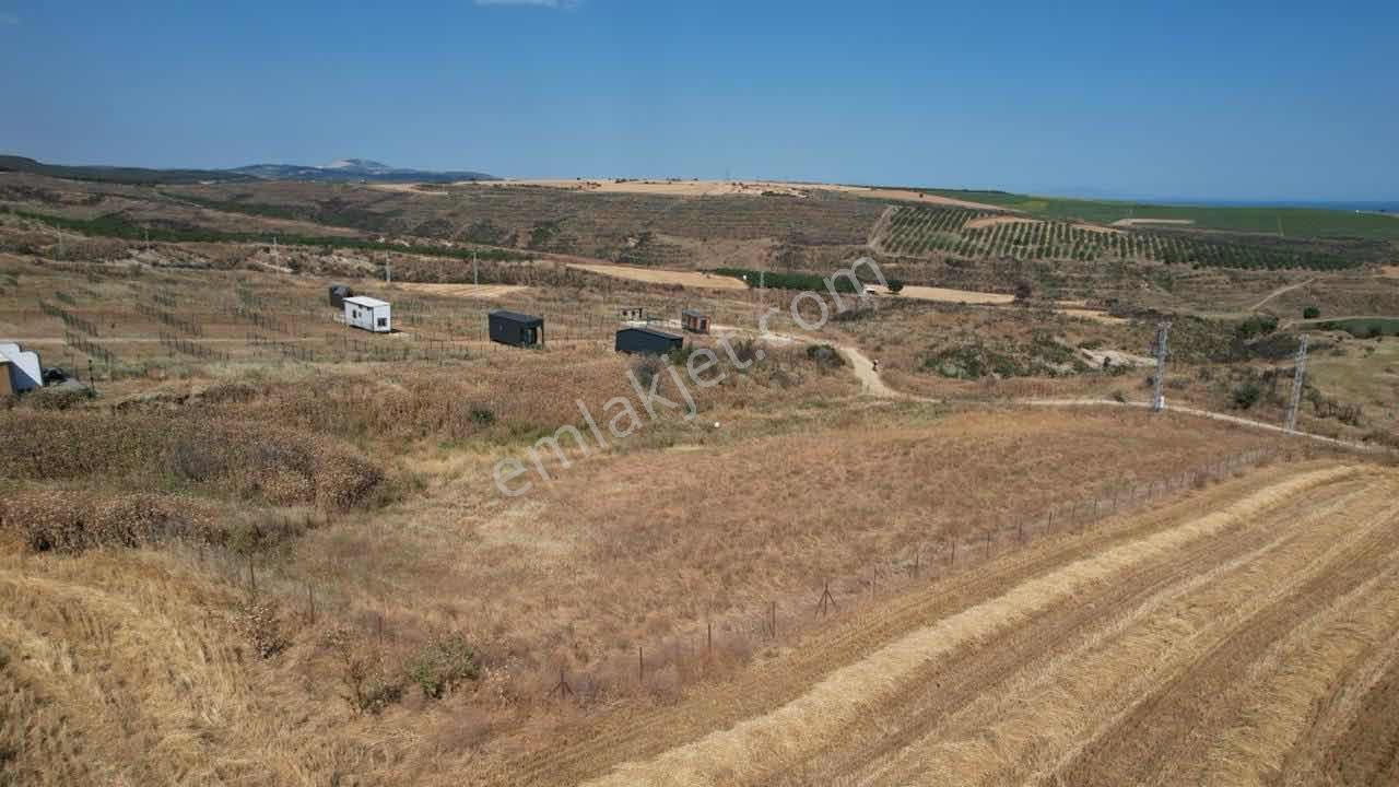Şarköy Şenköyde Panoramik Deniz Manzaralı Yatırımlık Arazi - Görsel 11