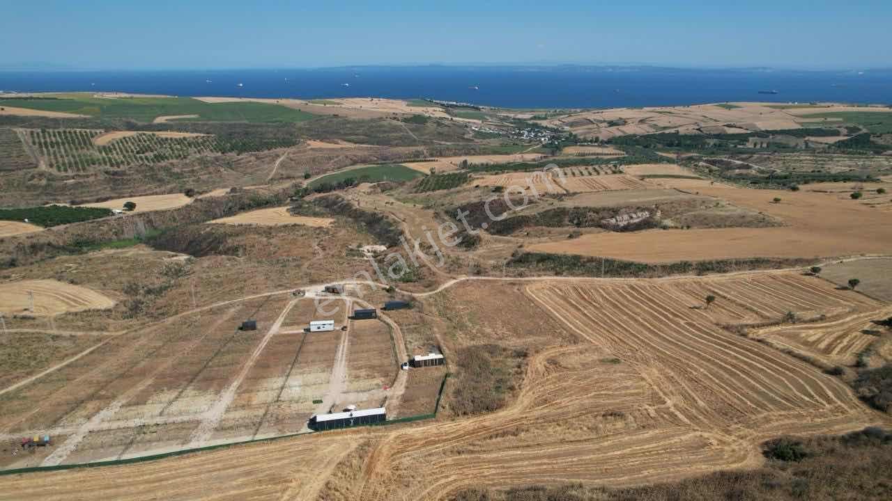 Şarköy Şenköyde Panoramik Deniz Manzaralı Yatırımlık Arazi - Görsel 18