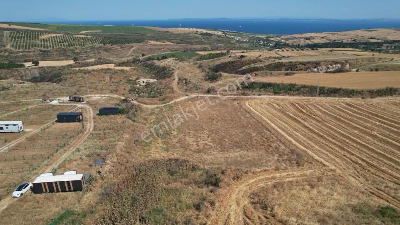 Şarköy Şenköyde Panoramik Deniz Manzaralı Yatırımlık Arazi - Görsel 21