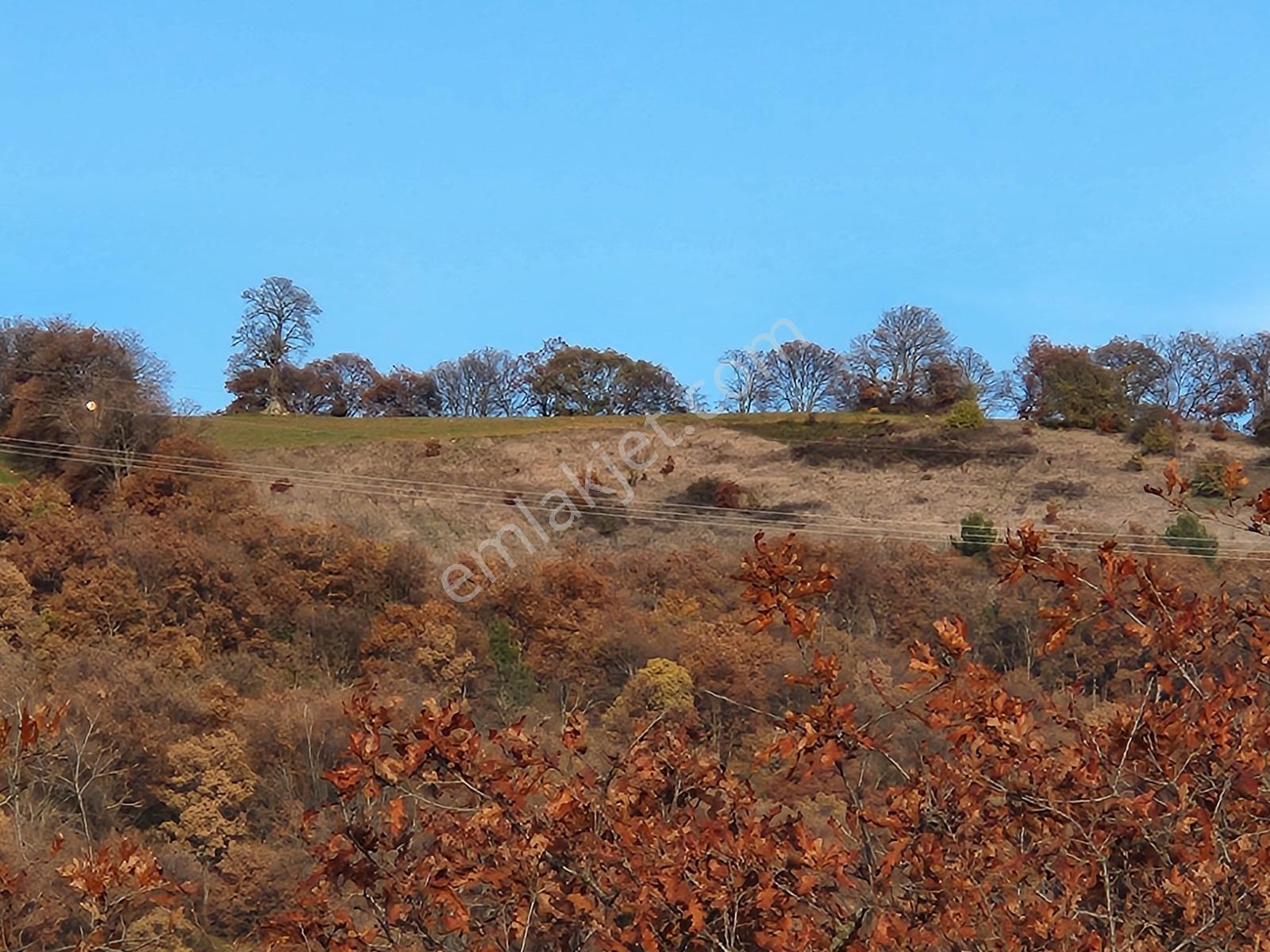 Çanakkale Çan 6.650 M2 Satılık Arazi - Görsel 15