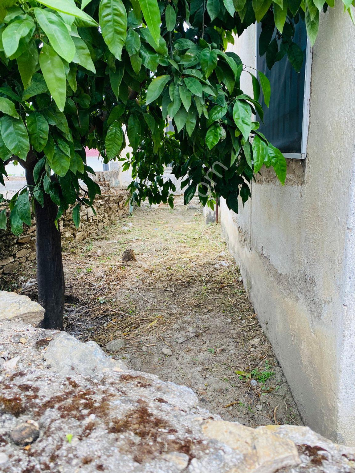 Sahinden Satılık Köy Evi Söke Özbaşı 556.7 Metrekare - Görsel 17