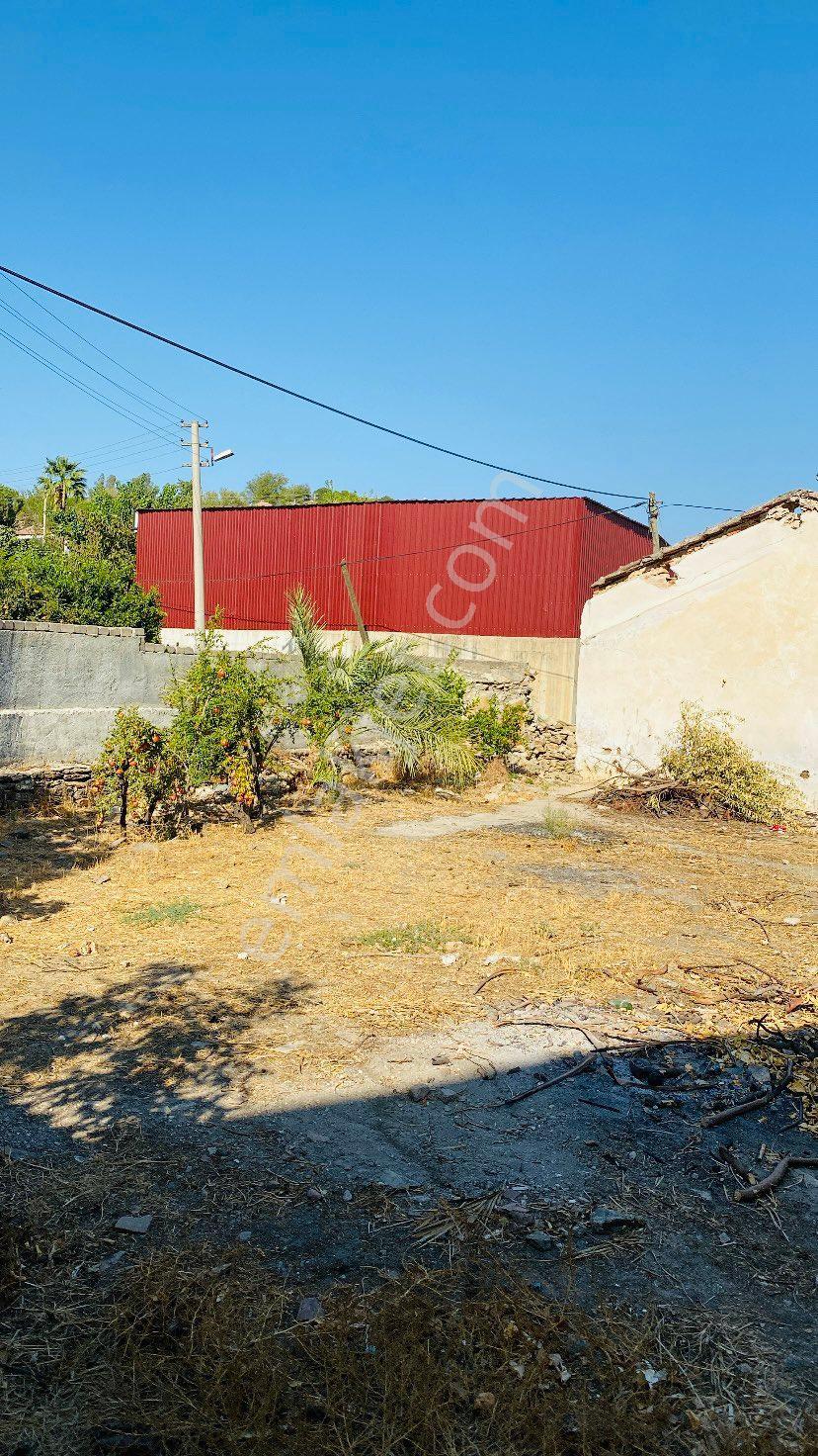 Sahinden Satılık Köy Evi Söke Özbaşı 556.7 Metrekare - Görsel 33
