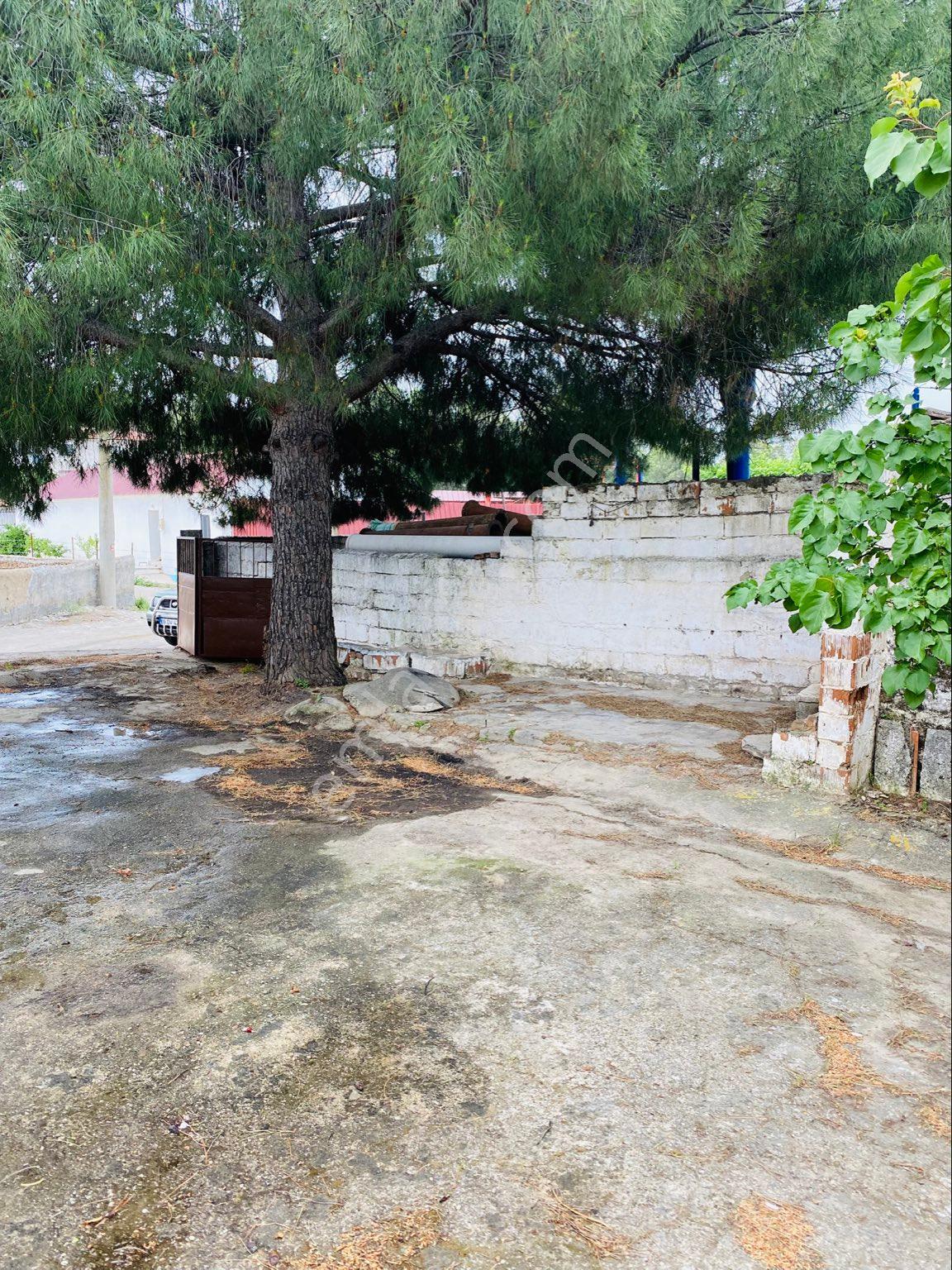 Sahinden Satılık Köy Evi Söke Özbaşı 556.7 Metrekare - Görsel 10