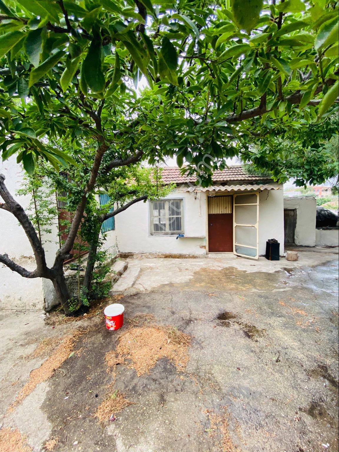 Sahinden Satılık Köy Evi Söke Özbaşı 556.7 Metrekare