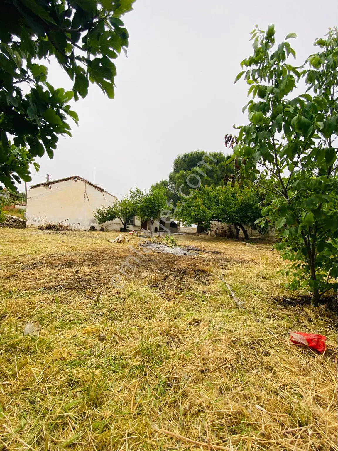 Sahinden Satılık Köy Evi Söke Özbaşı 556.7 Metrekare - Görsel 4