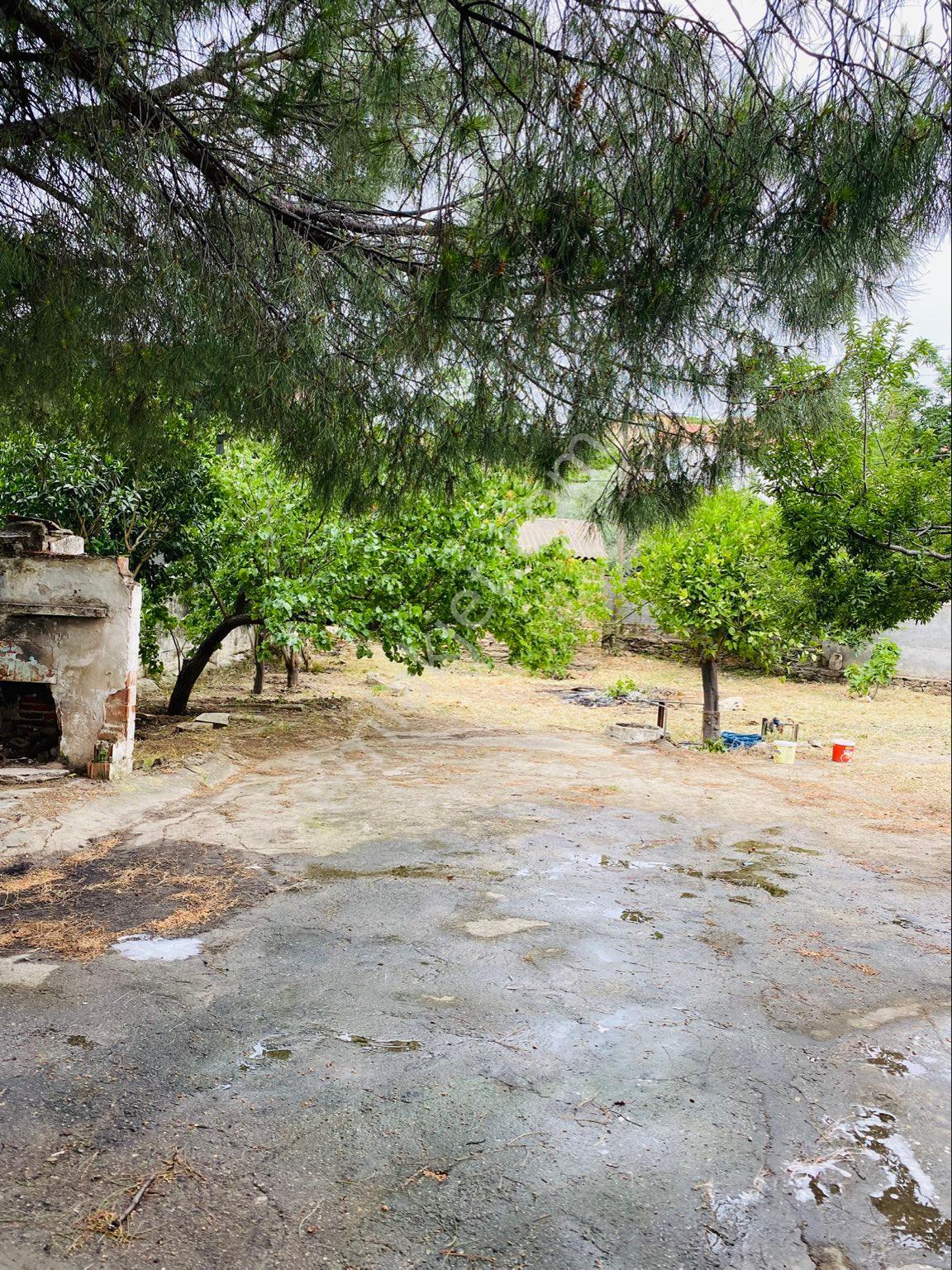 Sahinden Satılık Köy Evi Söke Özbaşı 556.7 Metrekare - Görsel 23