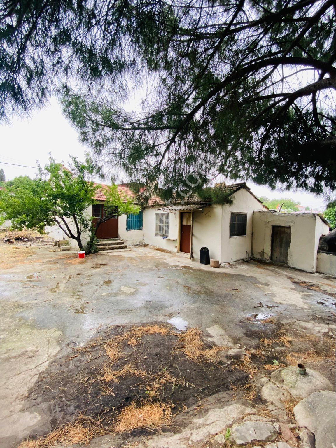 Sahinden Satılık Köy Evi Söke Özbaşı 556.7 Metrekare - Görsel 11