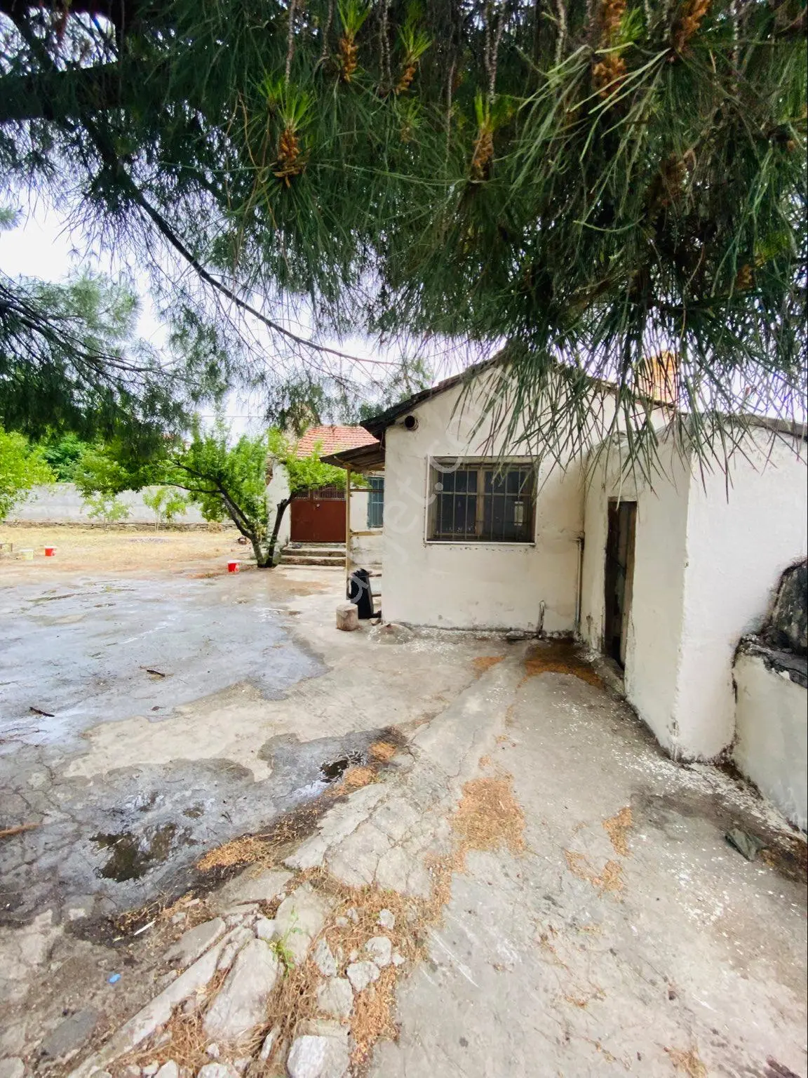 Sahinden Satılık Köy Evi Söke Özbaşı 556.7 Metrekare - Görsel 2