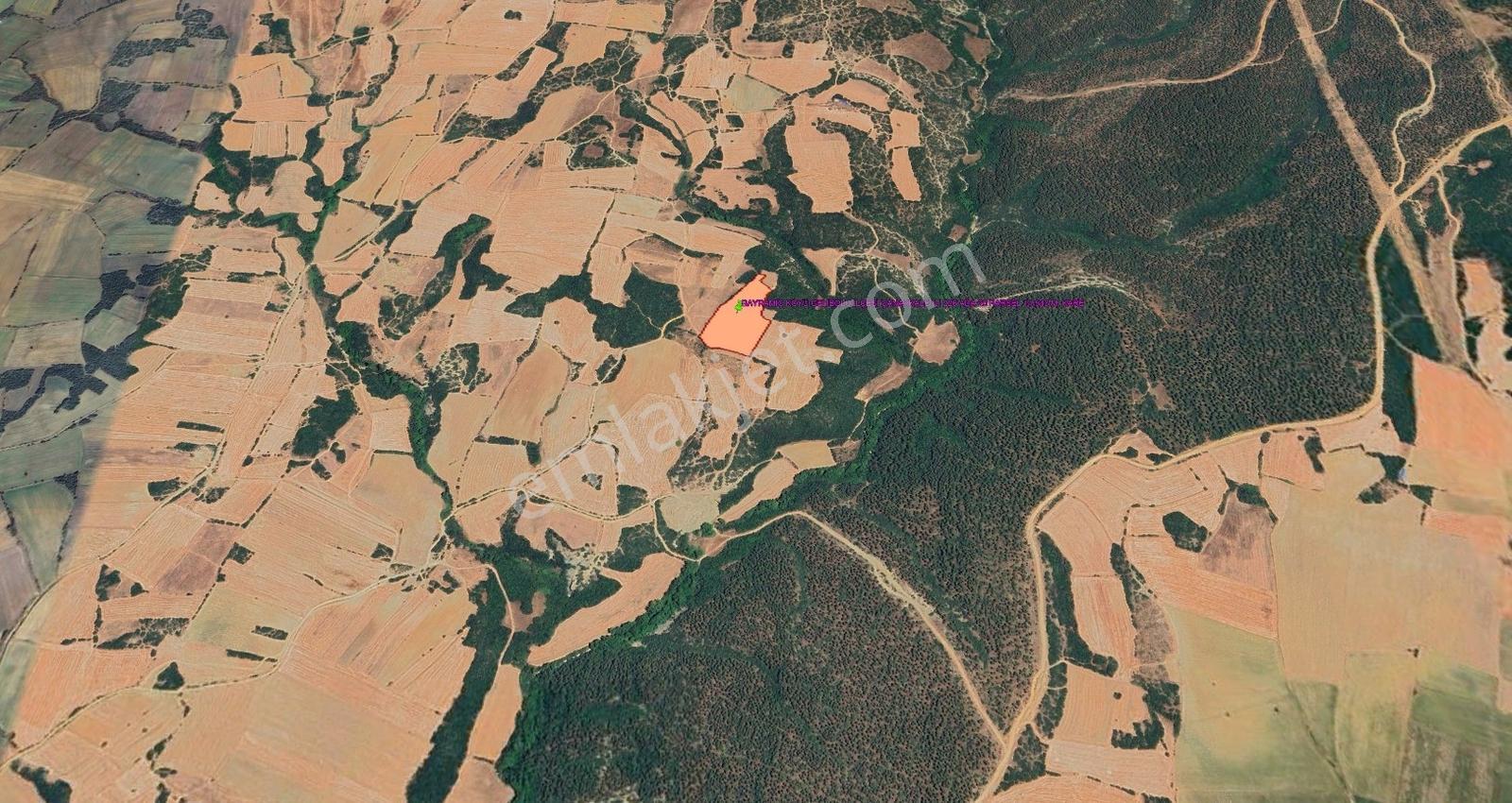 Çanakkale Gelibolu Bayramiç De 14.543 M Kare Tarla - Görsel 3
