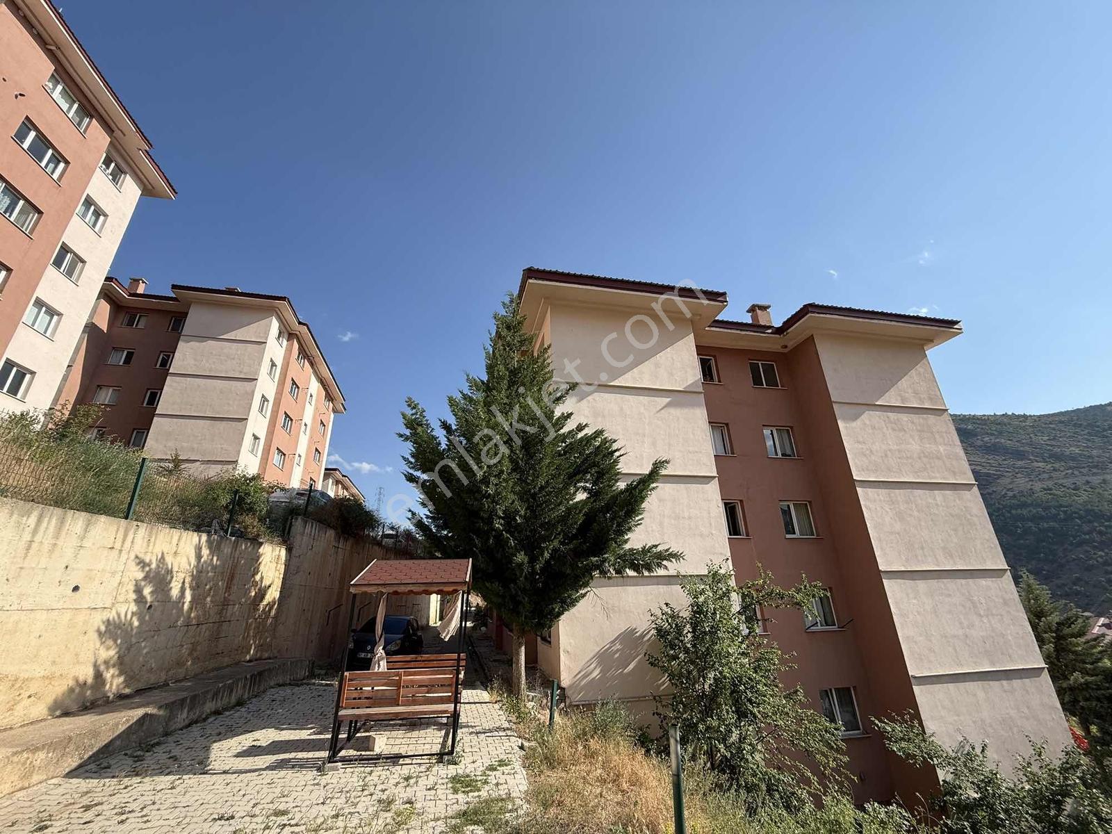 2+1 Yenilenmiş Daire - Görsel 3