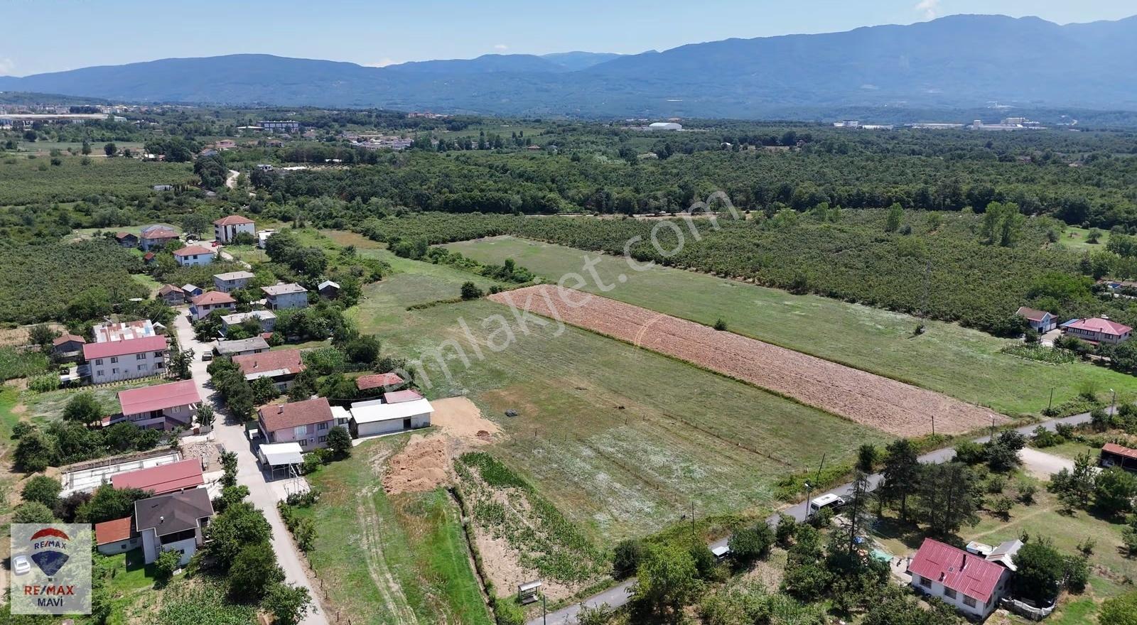 Akova'da 1525 M² , % 30 , 3 Kat Konut İmarlı Satılık Arsa - Görsel 5