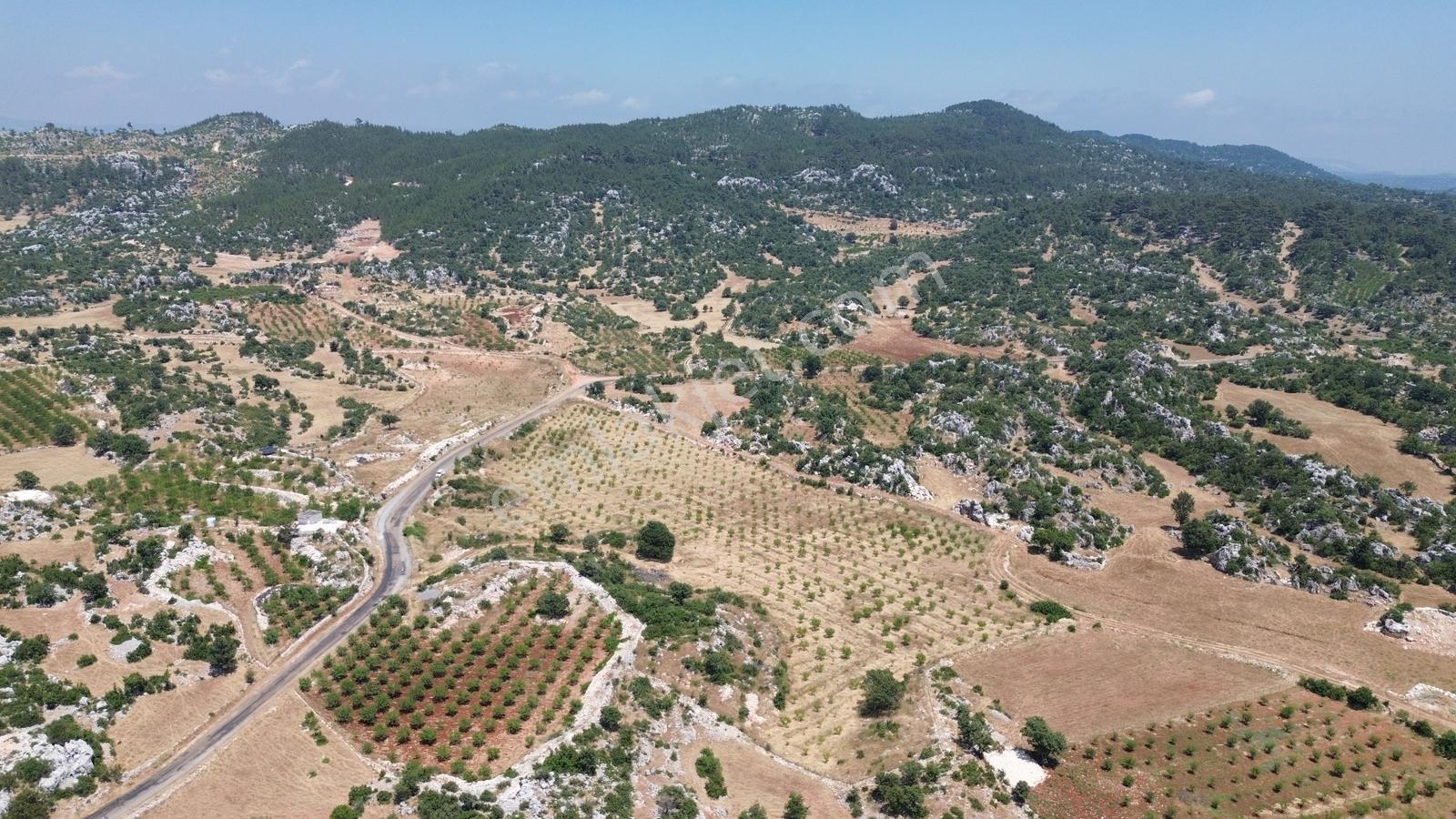 Karakuş Emlaktan Satılık 21 Dönüm Yetişmiş Badem Bahçesi - Görsel 10