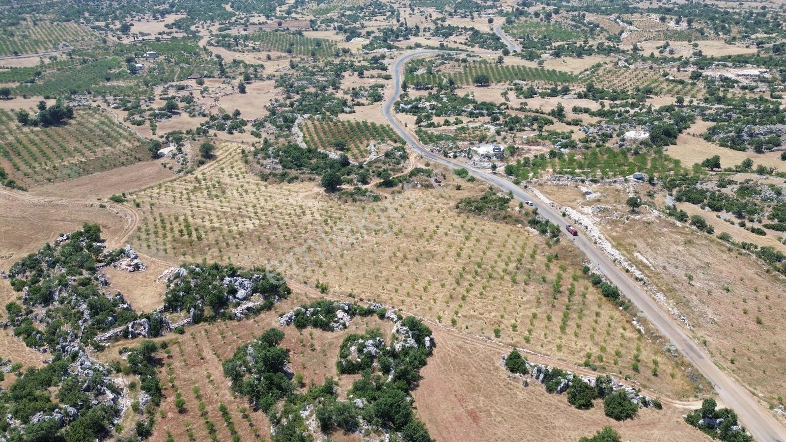 Karakuş Emlaktan Satılık 21 Dönüm Yetişmiş Badem Bahçesi - Görsel 14