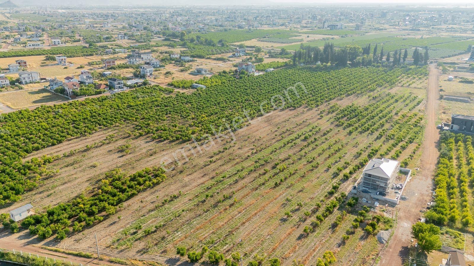 Yeniköy'de Satılık 500 M2 Arsa