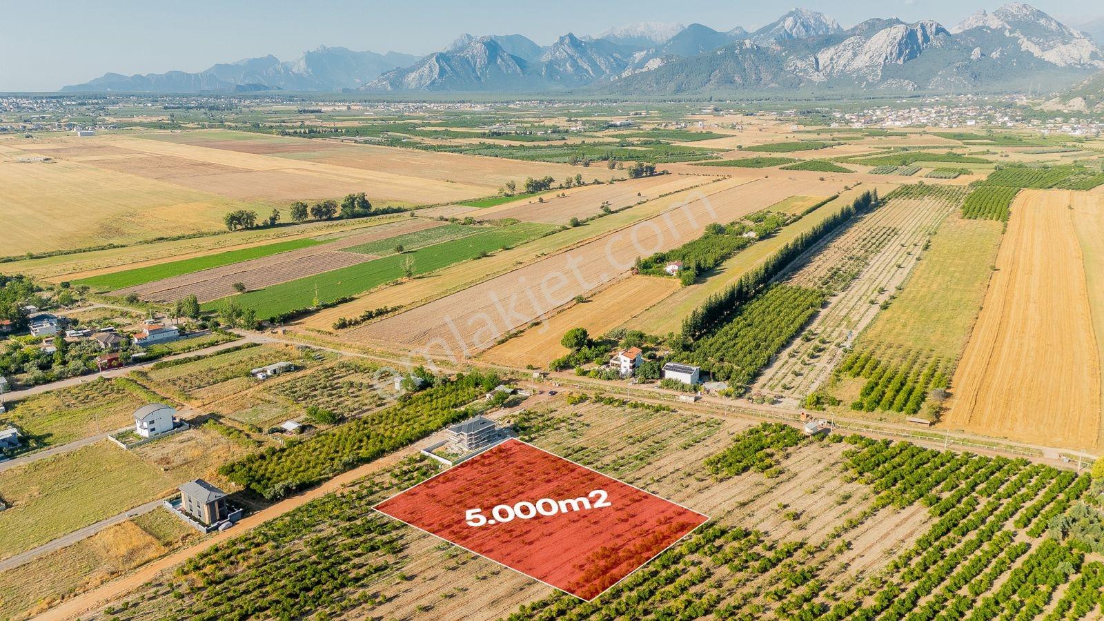 Yeniköy'de Satılık 500 M2 Arsa - Görsel 2