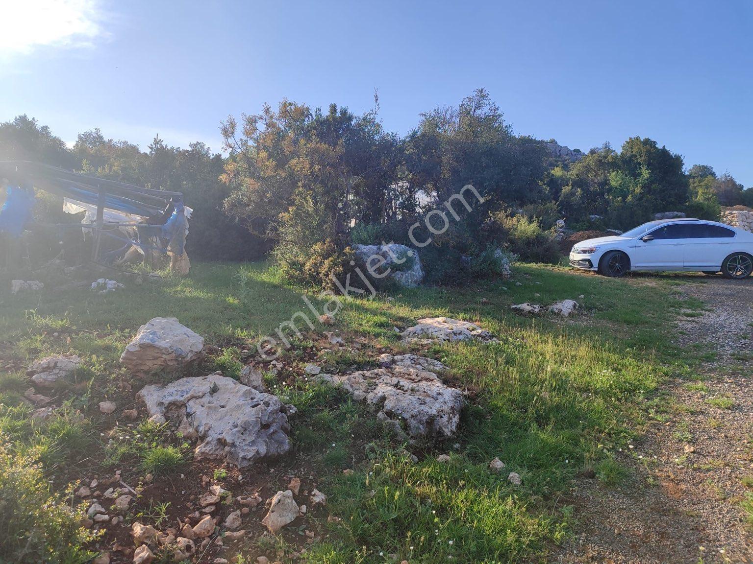 Mersin Erdemli Hüsametli Köyünde Satılık Tarla - Görsel 7