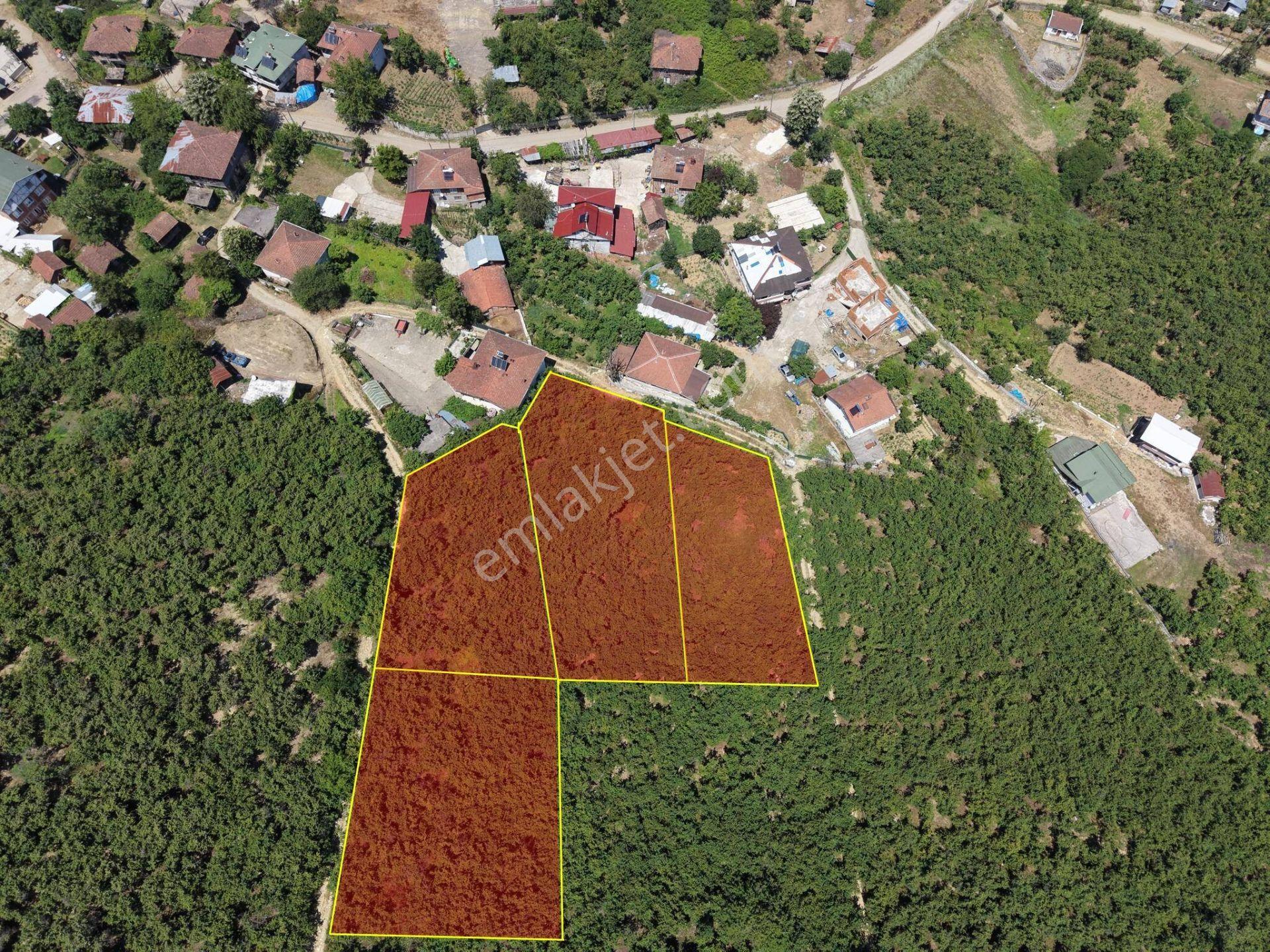 Arabacı Köyü'nde 1005, 1020, 1094, 1243 M2 Satılık İmarlı Arsalar - Görsel 24