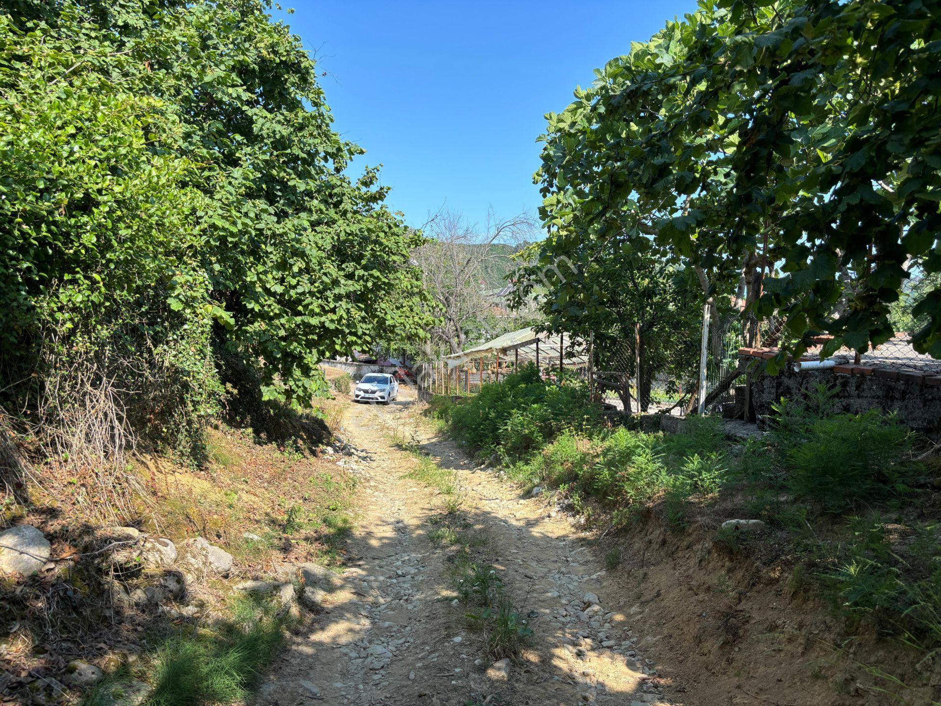 Arabacı Köyü'nde 1005, 1020, 1094, 1243 M2 Satılık İmarlı Arsalar - Görsel 15