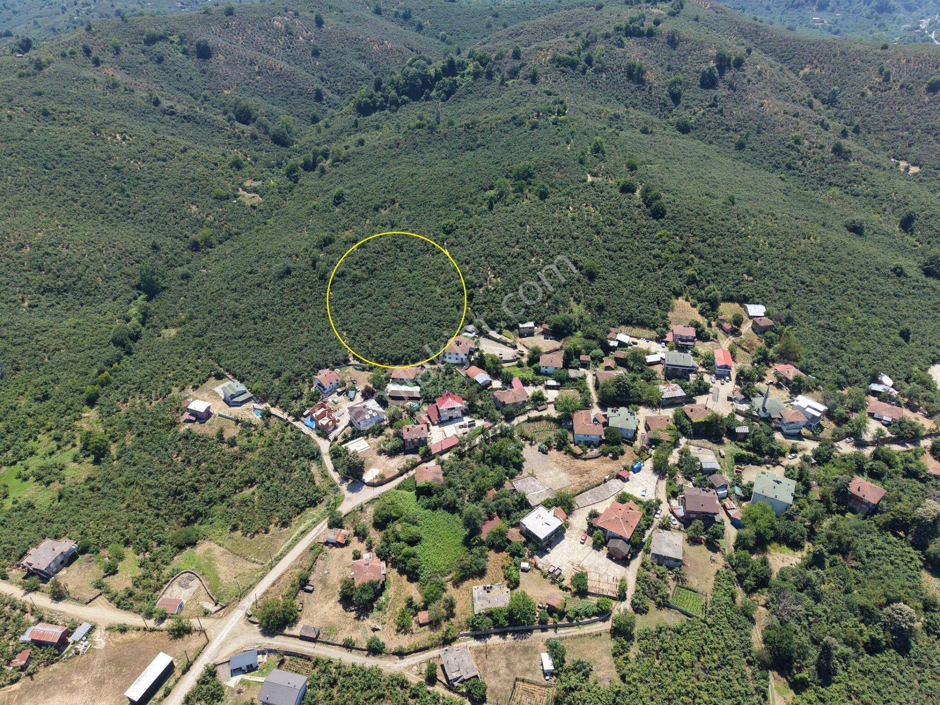 Arabacı Köyü'nde 1005, 1020, 1094, 1243 M2 Satılık İmarlı Arsalar - Görsel 19
