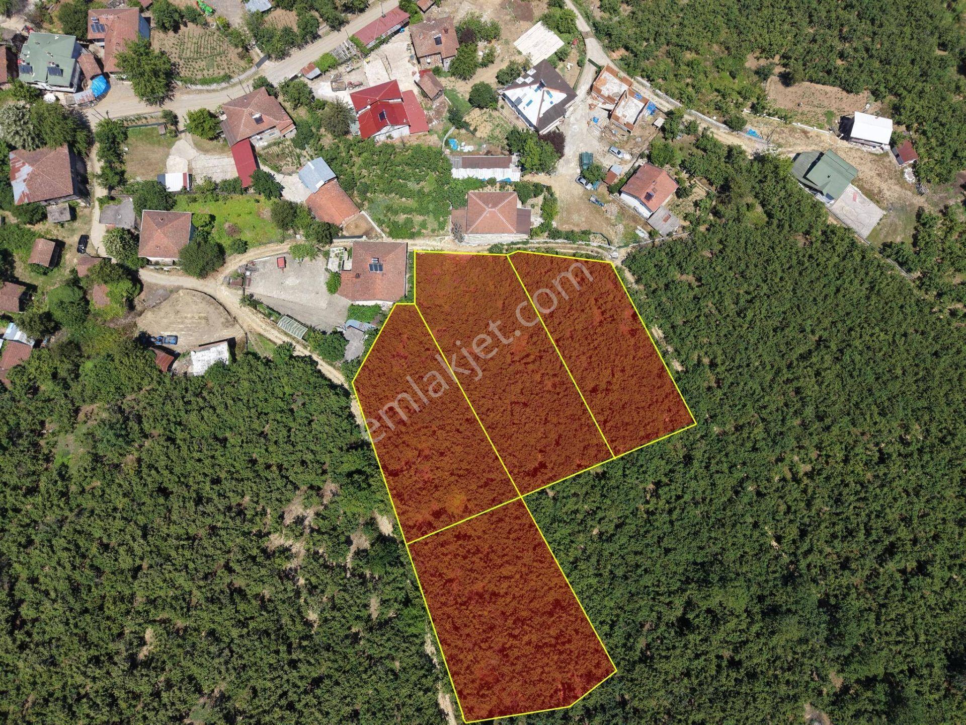 Arabacı Köyü'nde 1005, 1020, 1094, 1243 M2 Satılık İmarlı Arsalar