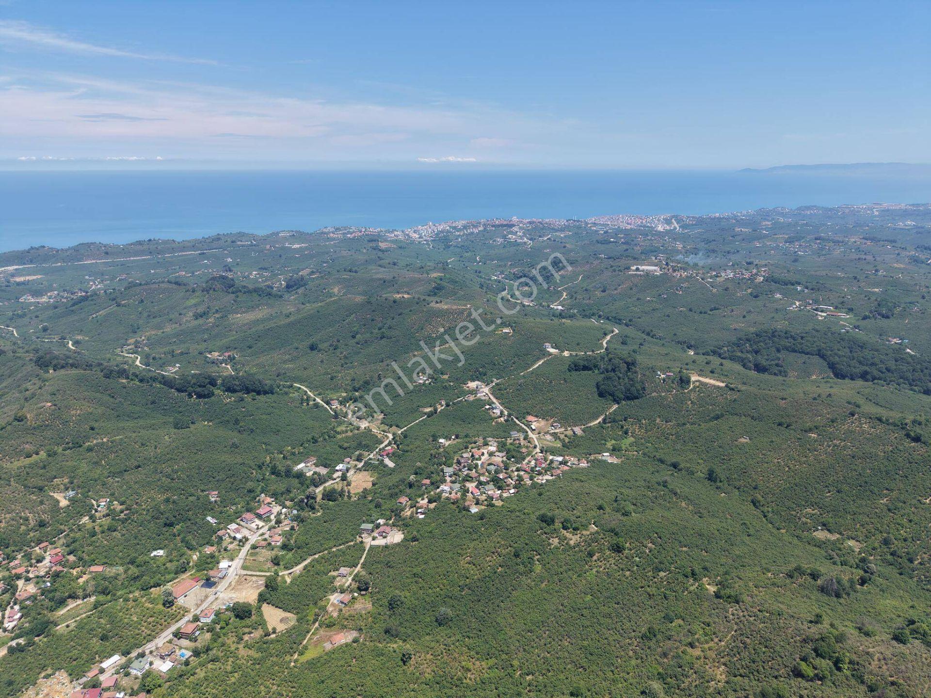 Arabacı Köyü'nde 1005, 1020, 1094, 1243 M2 Satılık İmarlı Arsalar - Görsel 34