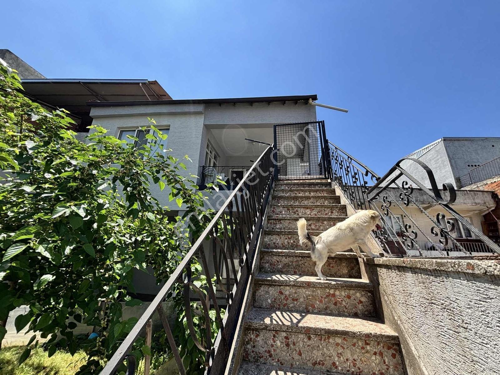 İki Adet 2+1 Bakımlı Satılık Daire - Görsel 30