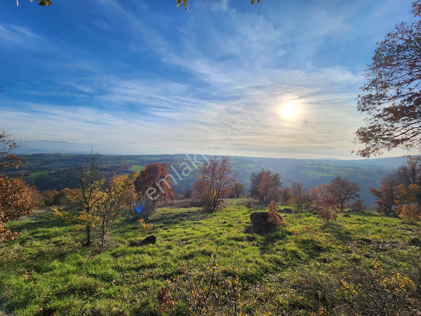 Çanakkale Çan 13.350 M2 Satılık Arazi - Görsel 21