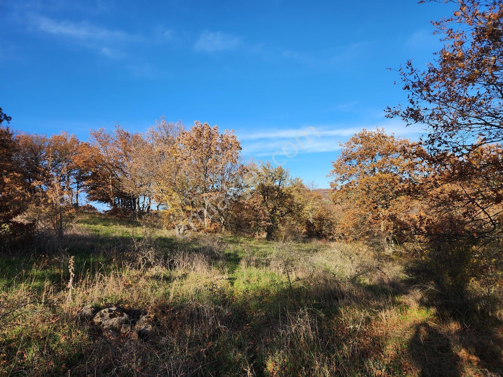 Çanakkale Çan 13.350 M2 Satılık Arazi - Görsel 13