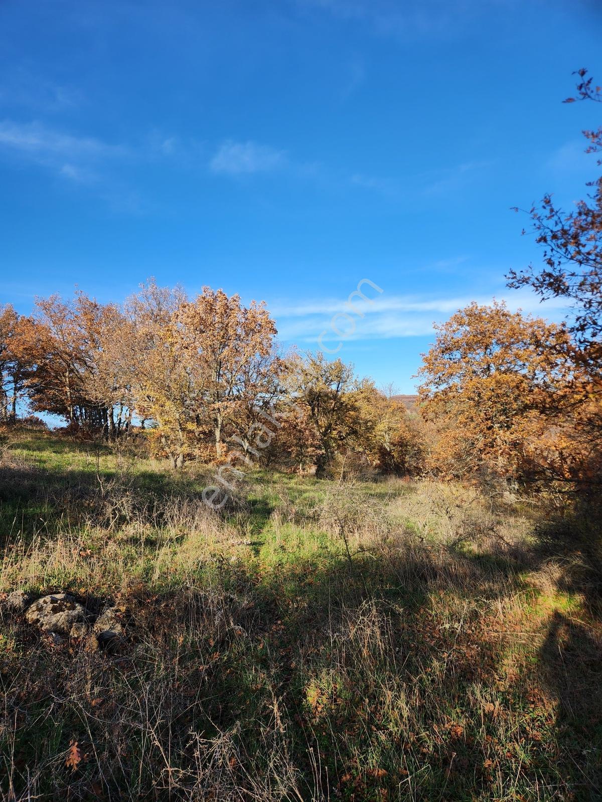 Çanakkale Çan 13.350 M2 Satılık Arazi - Görsel 14