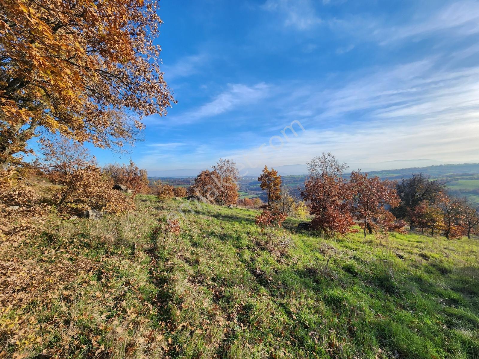Çanakkale Çan 13.350 M2 Satılık Arazi - Görsel 27