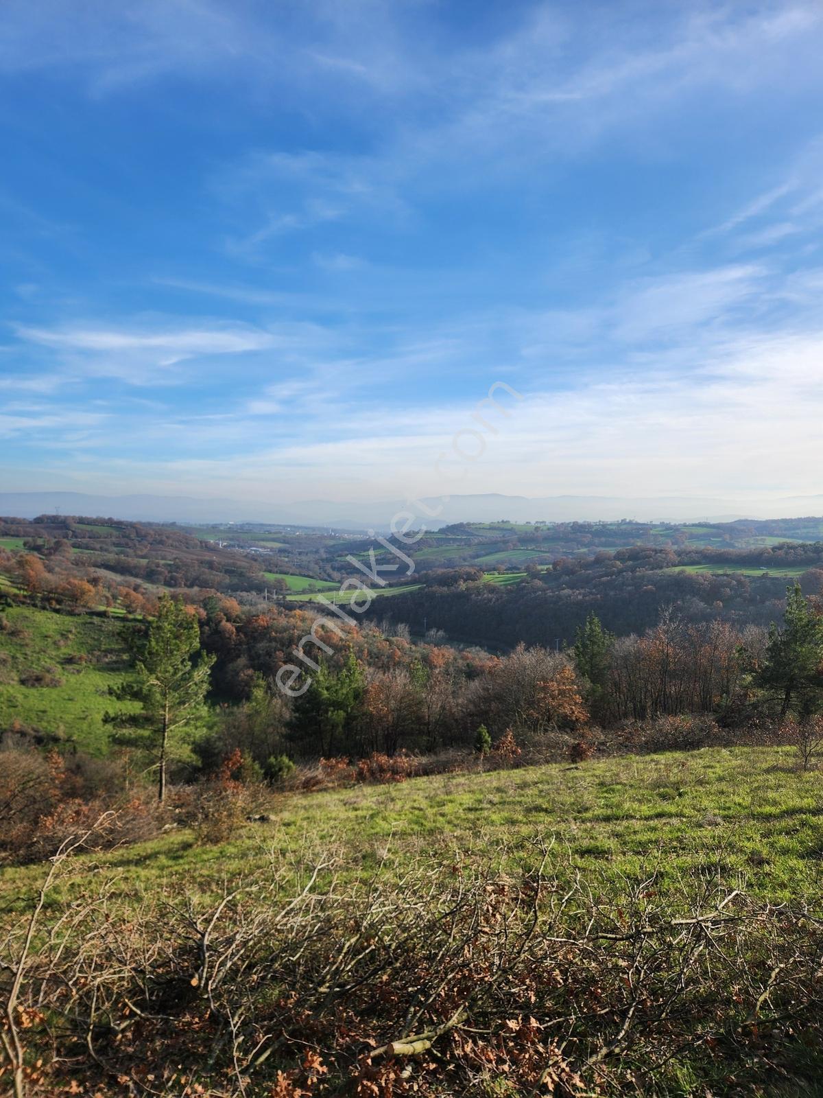Çanakkale Çan 13.350 M2 Satılık Arazi - Görsel 16