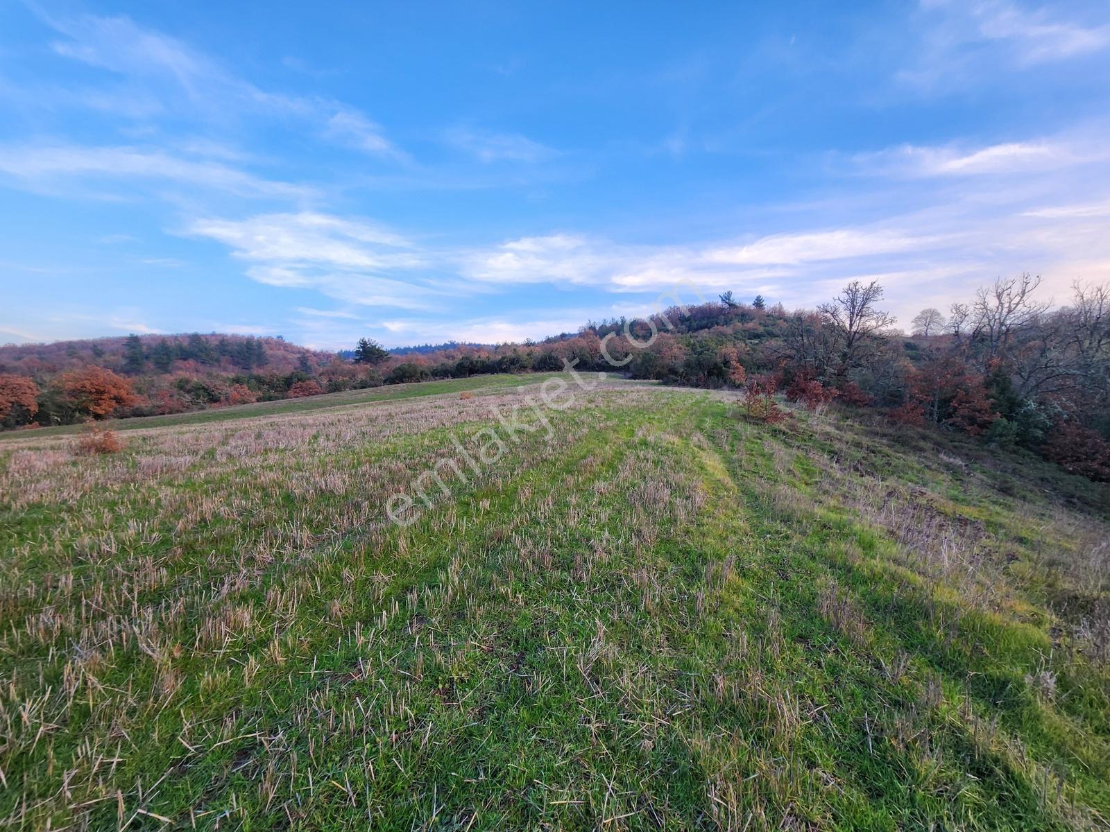 Çanakkale Çan 8.750 M2 Satılık Arazi - Görsel 6