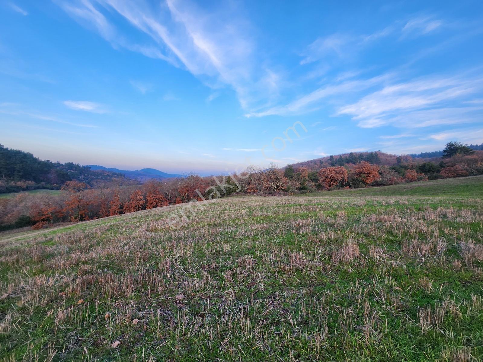 Çanakkale Çan 8.750 M2 Satılık Arazi - Görsel 9