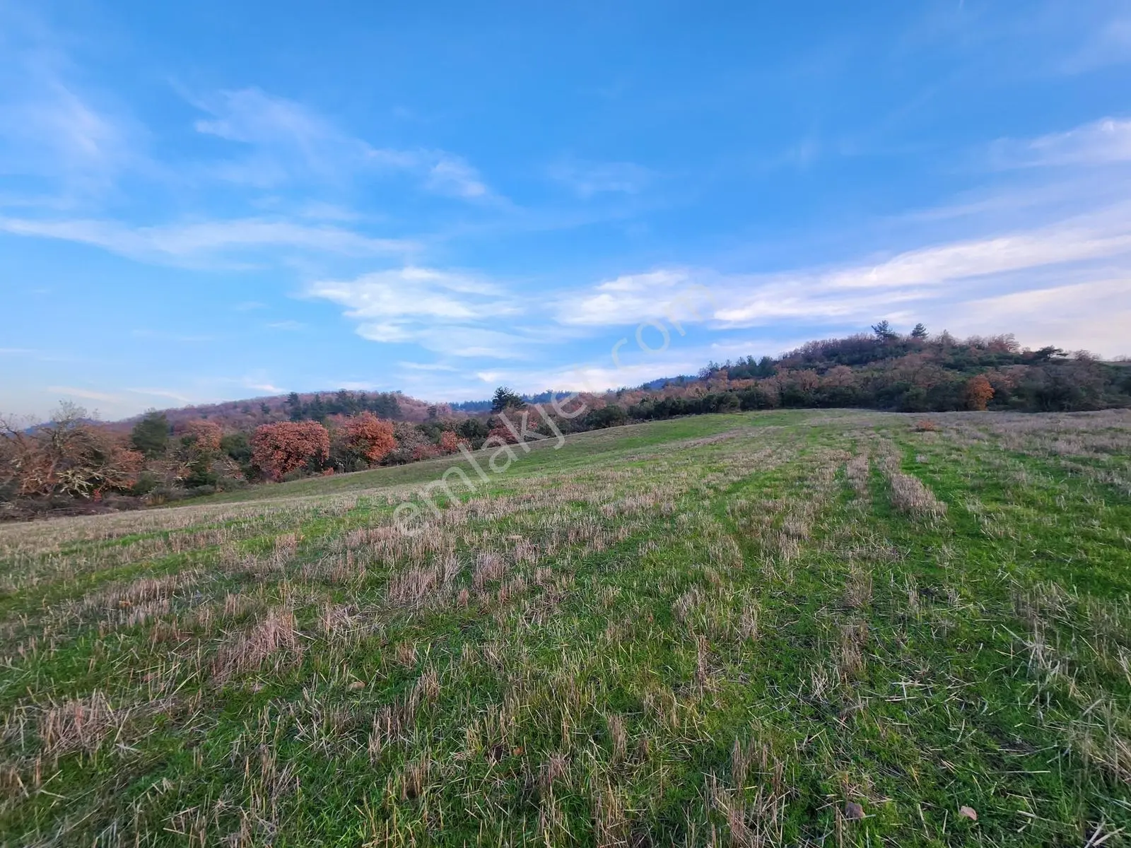 Çanakkale Çan 8.750 M2 Satılık Arazi - Görsel 5