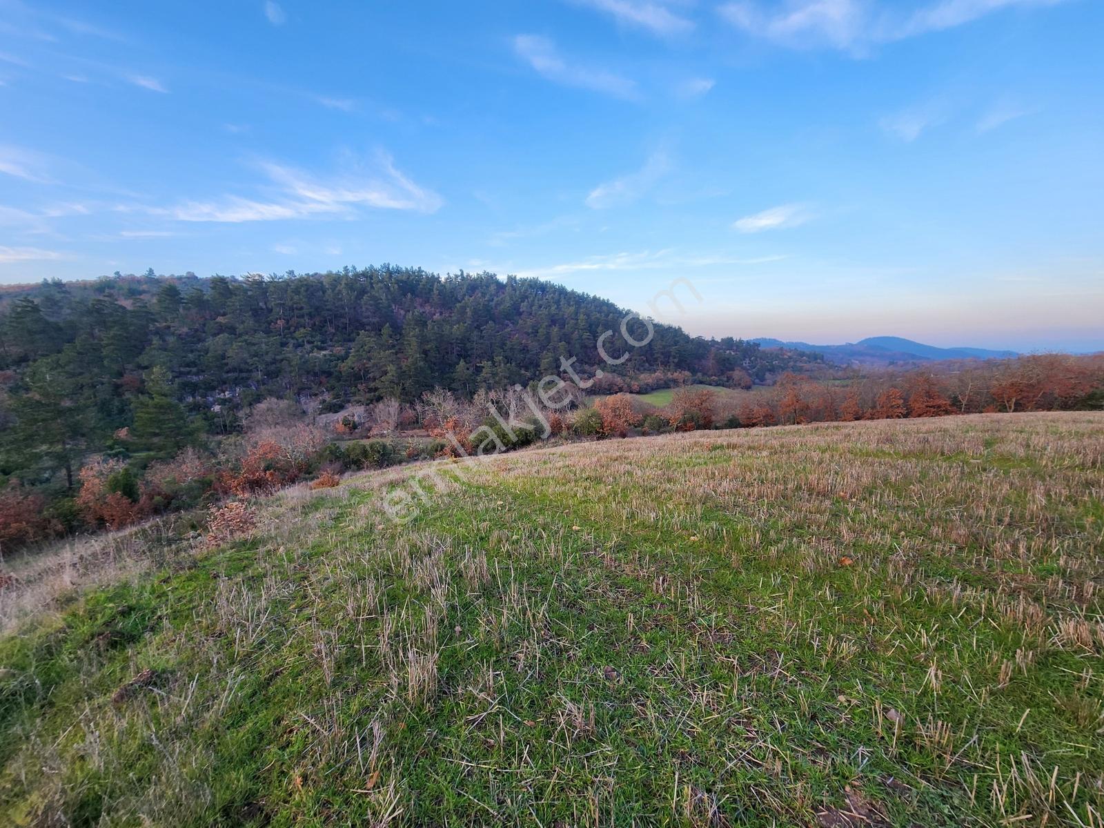 Çanakkale Çan 8.750 M2 Satılık Arazi - Görsel 14