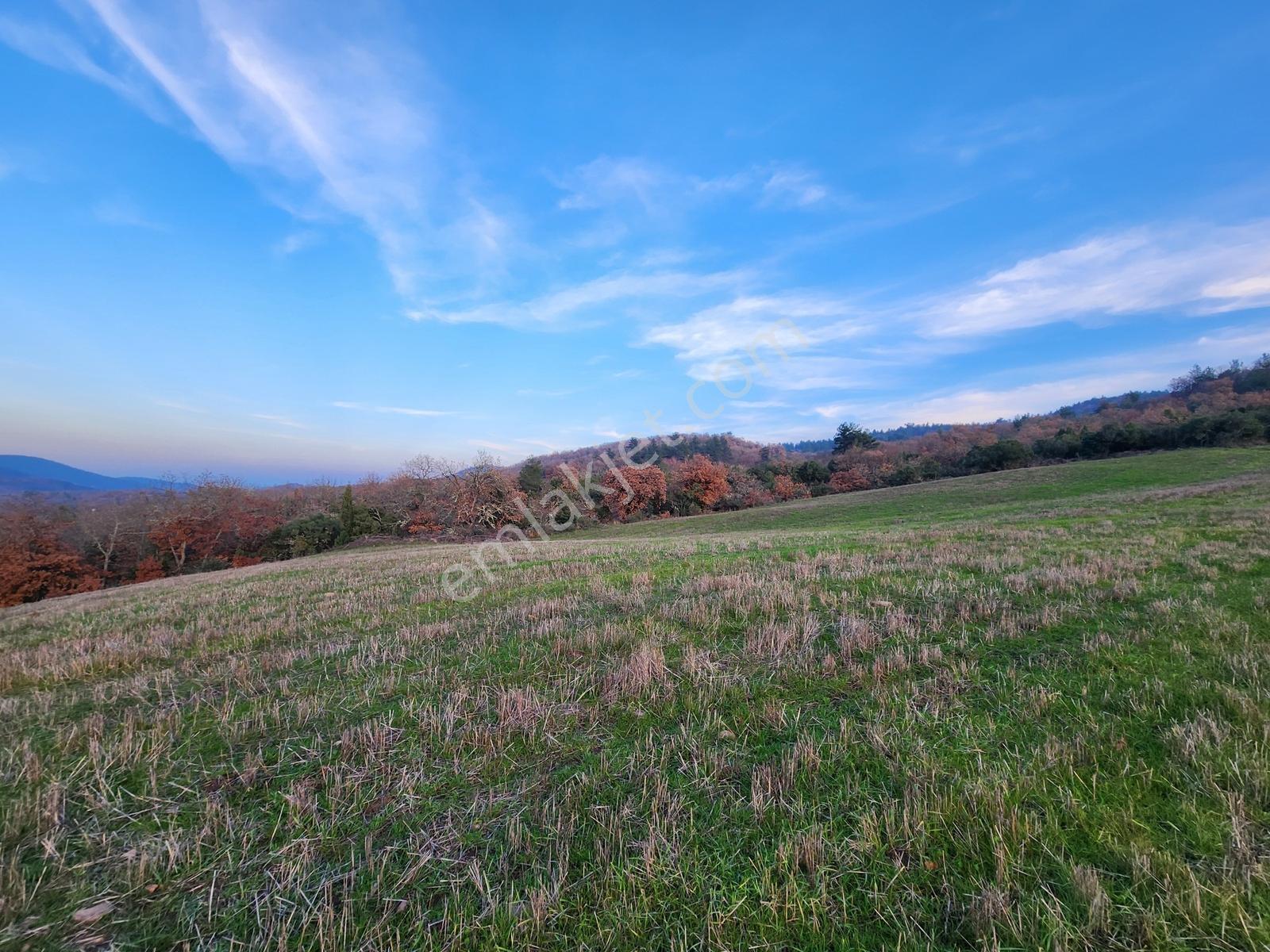 Çanakkale Çan 8.750 M2 Satılık Arazi - Görsel 19
