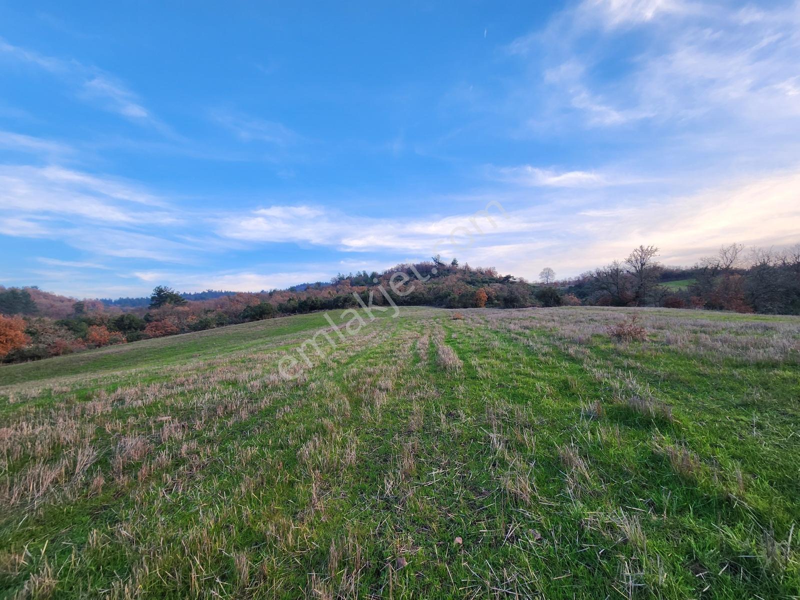 Çanakkale Çan 8.750 M2 Satılık Arazi - Görsel 10