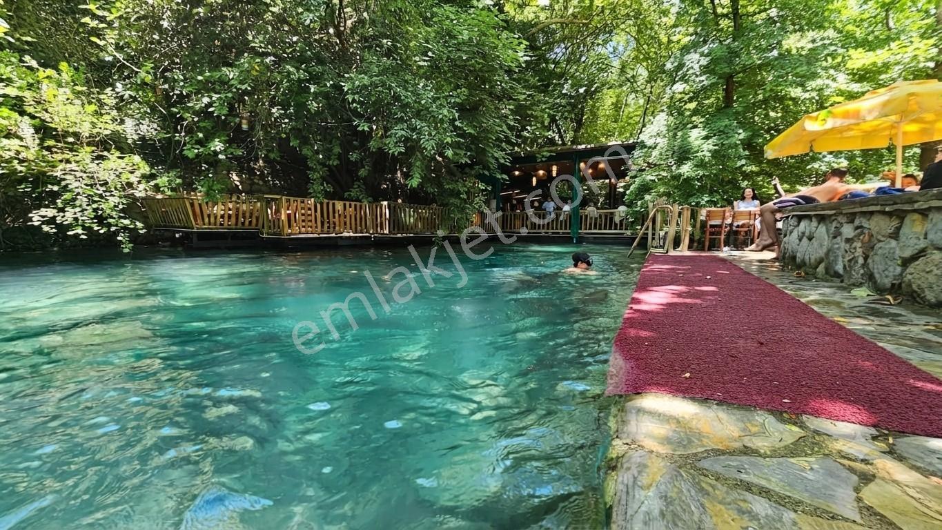 Lobby Fortis'ten Muğla Köyceğiz Pınar'da Satılık Tarlalar - Görsel 20